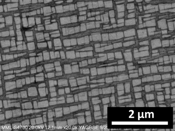 Example of Superalloy Under Microscope